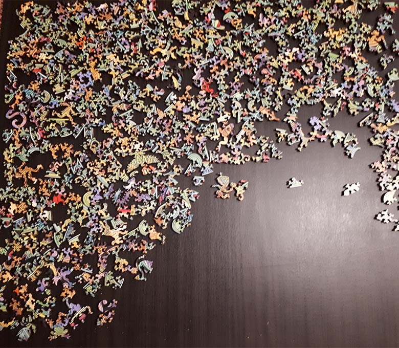 puzzle grenouille pièces