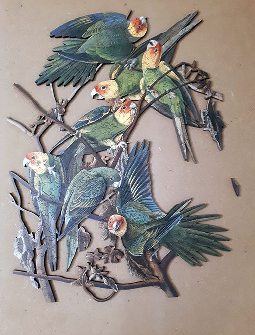 puzzle des oiseaux