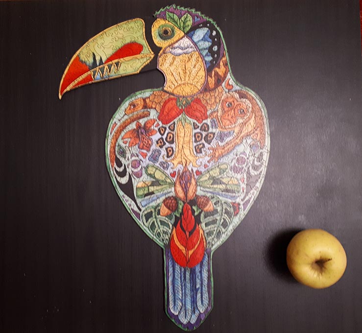 puzzle toucan