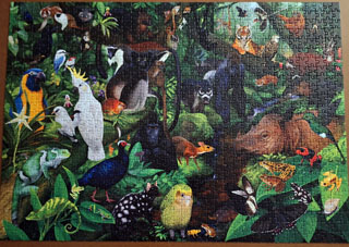 puzzle animaux forêt tropicale