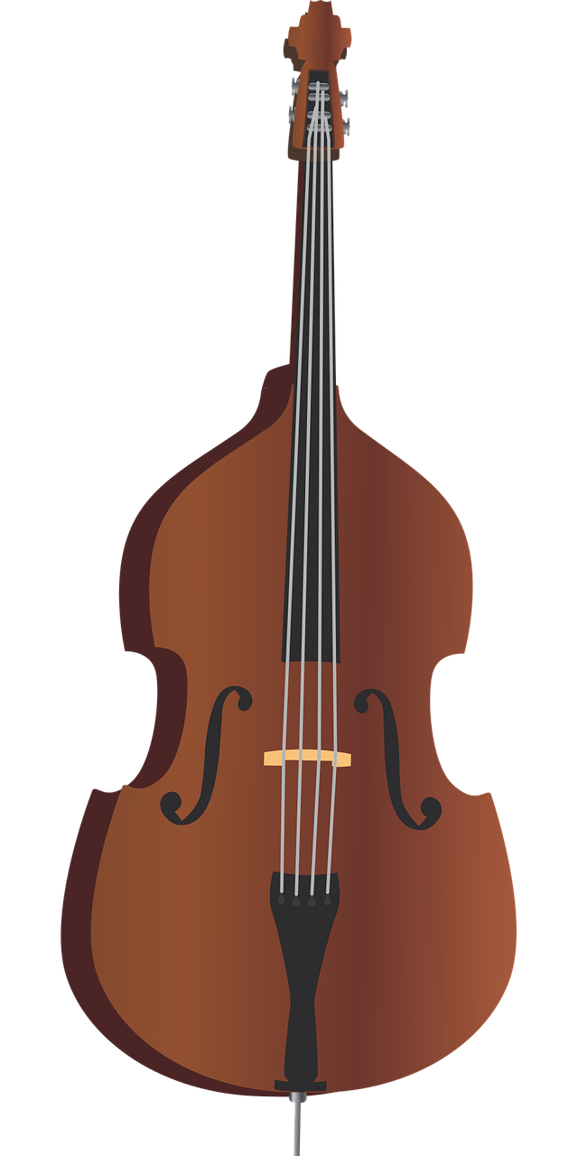 Instrument contrebasse