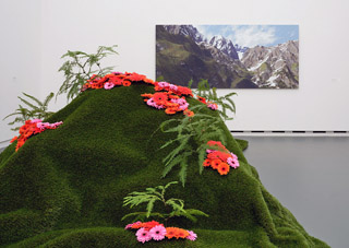 Fleurs pour l'Art