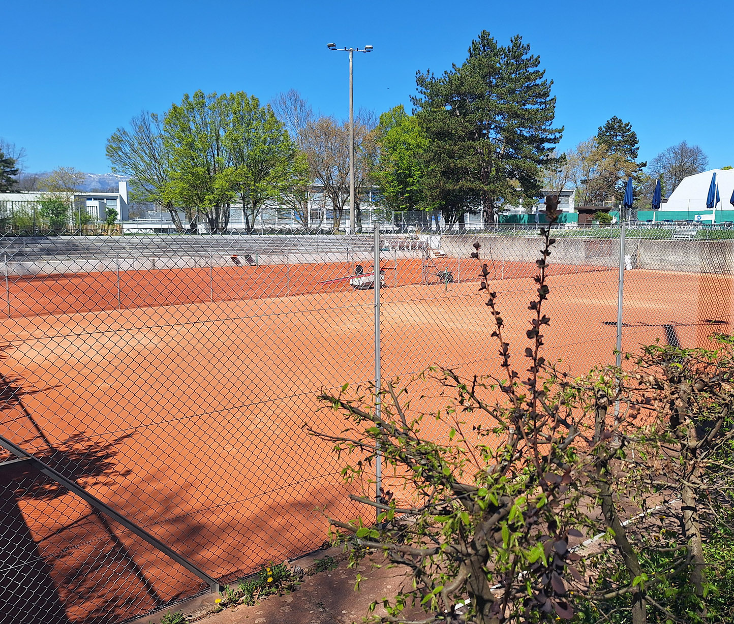 Courts 2