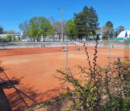 Courts 2