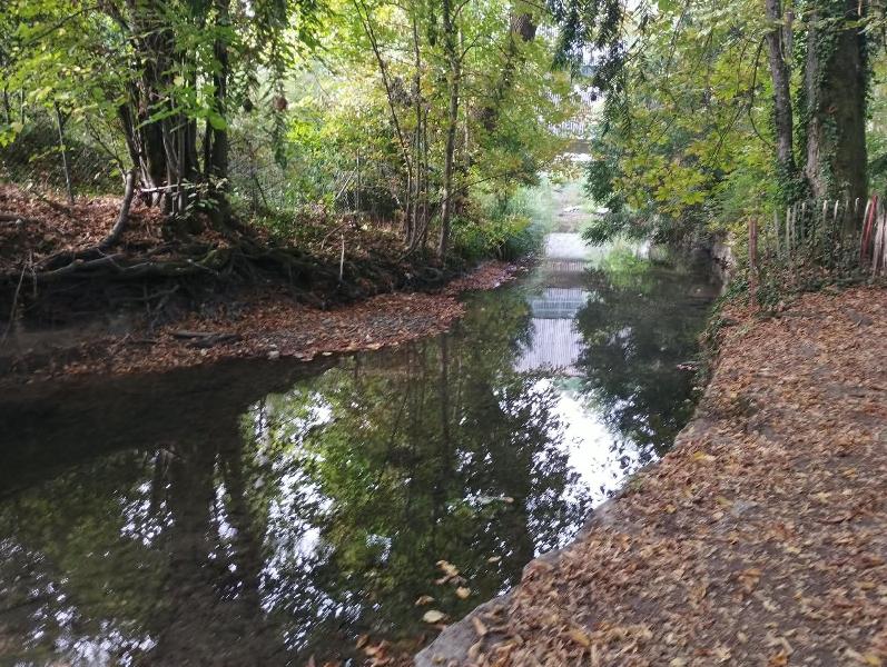Le long de la Seymaz, Chêne-Bourg