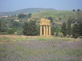 194_vallee_temples_38_temple_des_dioscures_castor_pollux.jpg