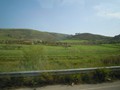 223_villa_romana_del_casal_04_en_route_agrigente..jpg