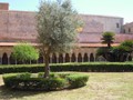 431_monreale_16_cloitre.jpg