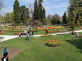 20190419_05_morges_tulipes.jpg