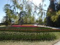 11morges__parc_tulipes.jpg