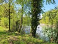 20260421_150251.jpg