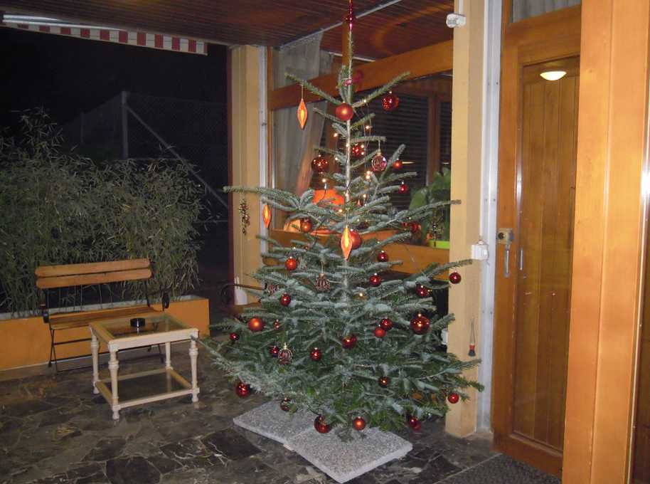 sapin 2013